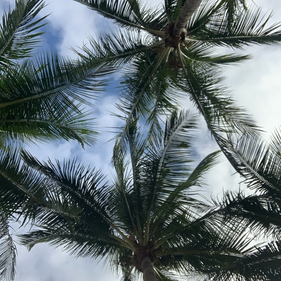 Meet your Posher, Skylar - Picture 1 of 1